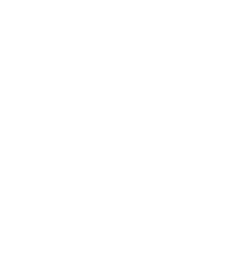 mlle_pitch_logo_site